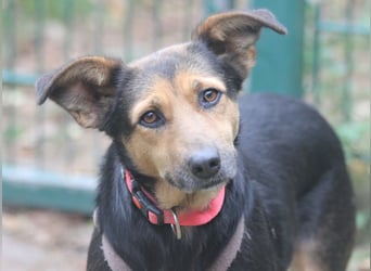 Valeska 47 cm geb. 05/2020 ist auch für eine Familie geeignet