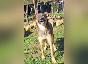 Molinda ist jung und voller Lebensfreude