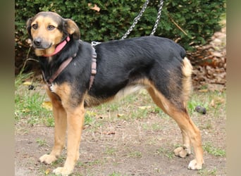 Valeska 47 cm geb. 05/2020 ist auch für eine Familie geeignet