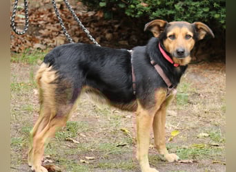 Valeska 47 cm geb. 05/2020 ist auch für eine Familie geeignet