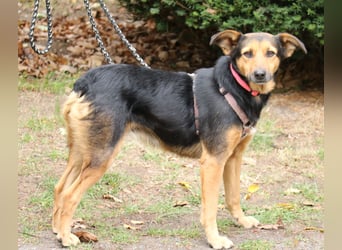 Valeska 47 cm geb. 05/2020 ist auch für eine Familie geeignet