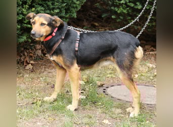 Valeska 47 cm geb. 05/2020 ist auch für eine Familie geeignet