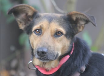 Valeska 47 cm geb. 05/2020 ist auch für eine Familie geeignet