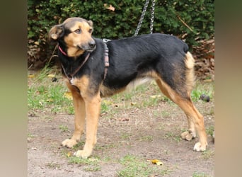 Valeska 47 cm geb. 05/2020 ist auch für eine Familie geeignet