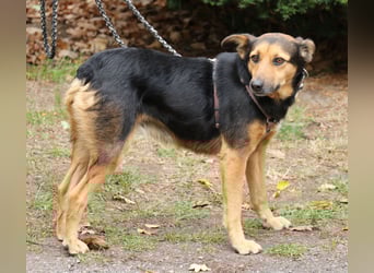 Valeska 47 cm geb. 05/2020 ist auch für eine Familie geeignet