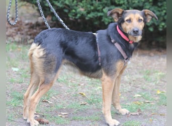 Valeska 47 cm geb. 05/2020 ist auch für eine Familie geeignet