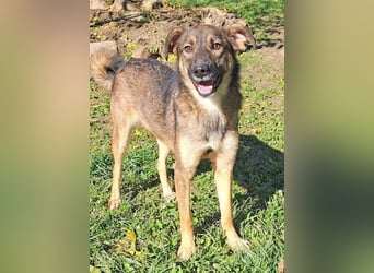 Molinda ist jung und voller Lebensfreude