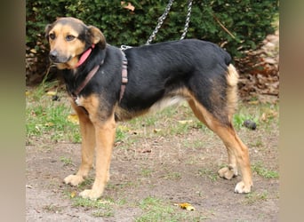 Valeska 47 cm geb. 05/2020 ist auch für eine Familie geeignet