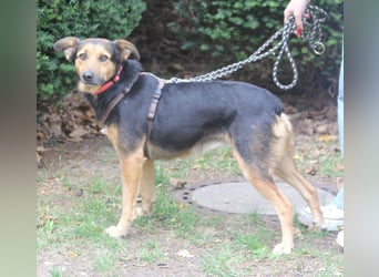 Valeska 47 cm geb. 05/2020 ist auch für eine Familie geeignet