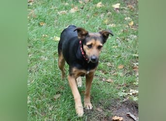 Valeska 47 cm geb. 05/2020 ist auch für eine Familie geeignet