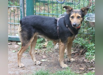 Valeska 47 cm geb. 05/2020 ist auch für eine Familie geeignet