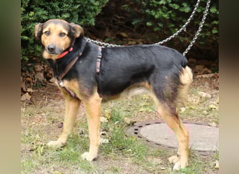 Valeska 47 cm geb. 05/2020 ist auch für eine Familie geeignet