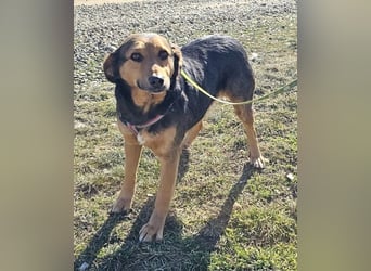 Valeska 47 cm geb. 05/2020 ist auch für eine Familie geeignet