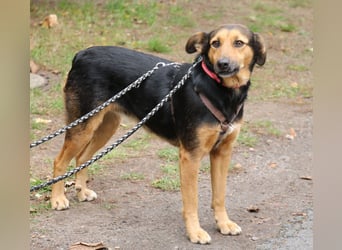 Valeska 47 cm geb. 05/2020 ist auch für eine Familie geeignet