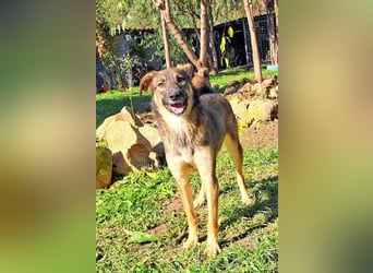 Molinda ist jung und voller Lebensfreude