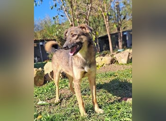 Molinda ist jung und voller Lebensfreude