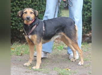 Valeska 47 cm geb. 05/2020 ist auch für eine Familie geeignet