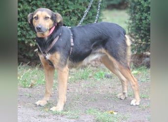 Valeska 47 cm geb. 05/2020 ist auch für eine Familie geeignet