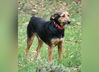 Valeska 47 cm geb. 05/2020 ist auch für eine Familie geeignet