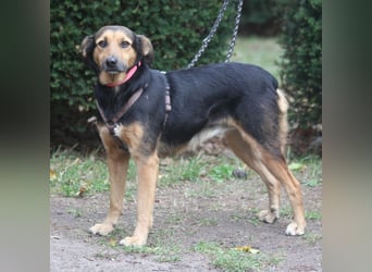 Valeska 47 cm geb. 05/2020 ist auch für eine Familie geeignet