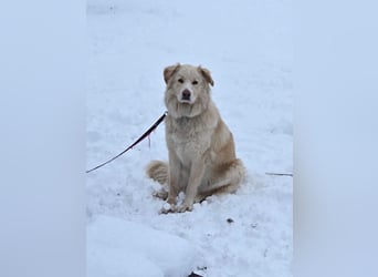 Bildhübsche EFFI sucht eine neue Familie