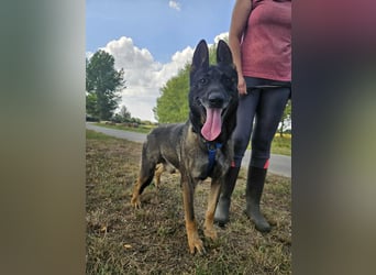 Felix möchte endlich ankommen..