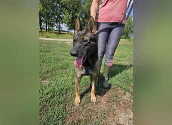 Felix möchte endlich ankommen..