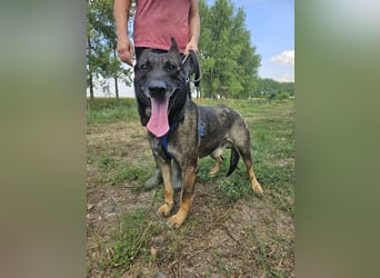 Felix möchte endlich ankommen..