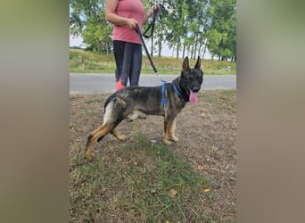 Felix möchte endlich ankommen..