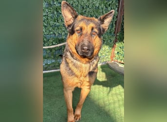 MARIO-wünscht sich nichts sehnlicher als seinen Familienanschluss