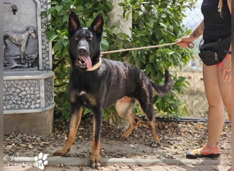 Enza ist freundlich und aufgeschlossen, sie sucht aktive und erfahrene Menschen