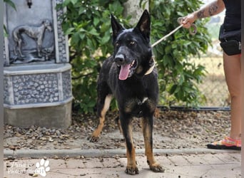 Enza ist freundlich und aufgeschlossen, sie sucht aktive und erfahrene Menschen