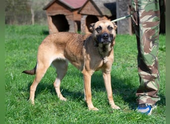 Zsófi hat bisher nichts Gutes erlebt...das soll sich jetzt ändern !