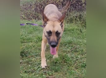 Zsófi hat bisher nichts Gutes erlebt...das soll sich jetzt ändern !