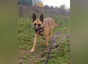 Zsófi hat bisher nichts Gutes erlebt...das soll sich jetzt ändern !