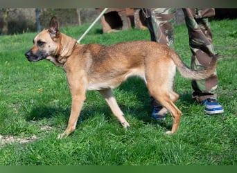 Zsófi hat bisher nichts Gutes erlebt...das soll sich jetzt ändern !