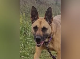 Zsófi hat bisher nichts Gutes erlebt...das soll sich jetzt ändern !