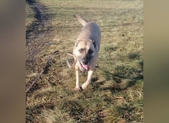 Zsófi hat bisher nichts Gutes erlebt...das soll sich jetzt ändern !