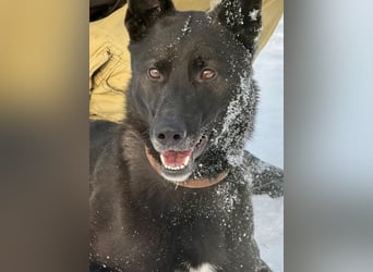 Lady Mesi, ein Rohdiamant , hat leider Ihr Zuhause verloren !