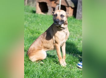 Zsófi hat bisher nichts Gutes erlebt...das soll sich jetzt ändern !