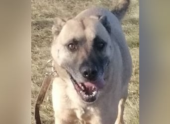 Zsófi hat bisher nichts Gutes erlebt...das soll sich jetzt ändern !