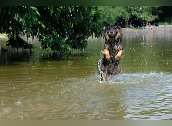 Senior Bruno sucht seine Familie