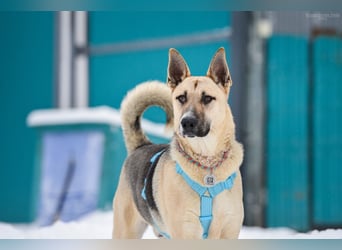 Kluger Cäser sucht seine Menschen