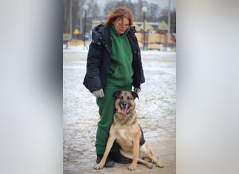 Ilana wartet schon viele Jahre auf ein Zuhause