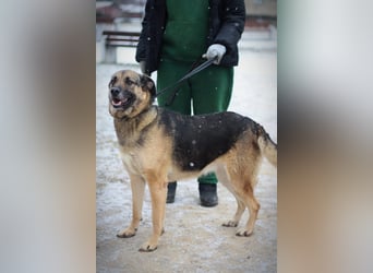 Ilana wartet schon viele Jahre auf ein Zuhause