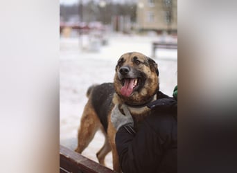 Ilana wartet schon viele Jahre auf ein Zuhause