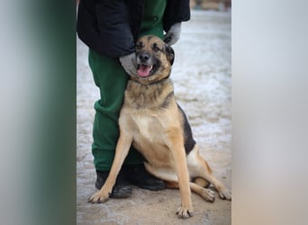 Ilana wartet schon viele Jahre auf ein Zuhause