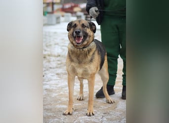Ilana wartet schon viele Jahre auf ein Zuhause