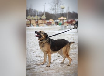 Ilana wartet schon viele Jahre auf ein Zuhause