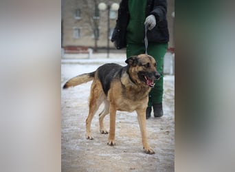 Ilana wartet schon viele Jahre auf ein Zuhause